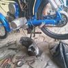 gagal_105
