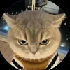nhintenanhdii