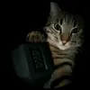 skibidi.toilet.mew6
