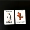 usern4w3excvvi