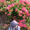 yuuu.min