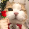 marsyaaa_037