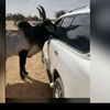 sadibou93