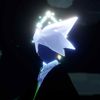 lizard_ce