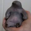 hugoserrato7