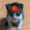 itzurboy_r