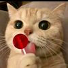 catwithalollipop