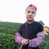 quocluong11