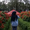 xzxy_sin