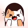 vminkooksopenamjin_