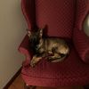 georgiegirlgsd
