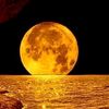 purna_chandra5