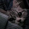 ismael.prds
