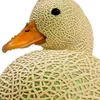user197996125