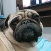 eri_toggled