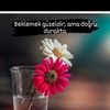 elif212100