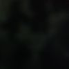 butthole3235