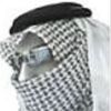 tl_qs