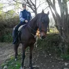 beatrizarosagomez