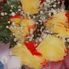 lolo0548