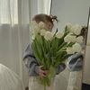 a_xriil50