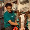 ali._.hossny