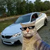 lloydgrg