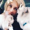 siblove18