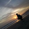 justinadrian.ds