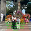 vn.tiktik.ly3
