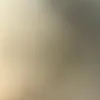 vini_knf