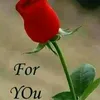 abdulfaruz1