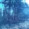 kamiloshod