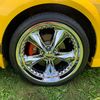 mikes_stang