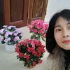 huonghuongvu4