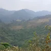 betcakhia1