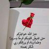 amohamed472