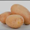 _potatos.are.cool_