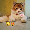 pretty_asma99