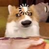 hdownuwo26937