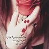 passarlove