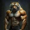 mohamed32.dz