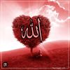 fazia_jee