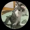 thatbai.com1