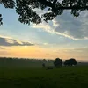 lilpixie76