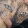 loulou0304105