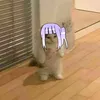 moki._666