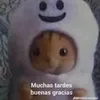 rmshaart