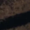 xxxx123485