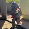 malloryshepard1